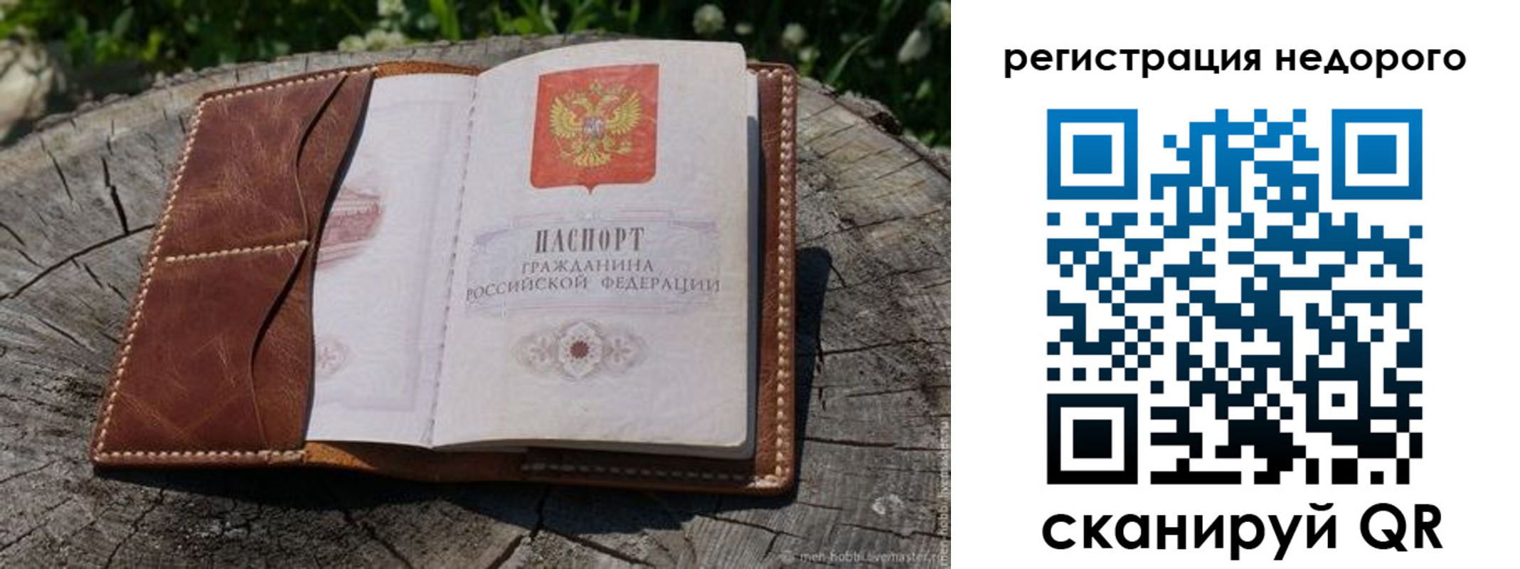 прописка для школы в Камчатском крае